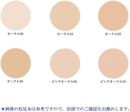 SHISEIDO Pro Finish Foundation (Ocher 10)
