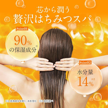 & honey Melty Moist Repair Shampoo + Treatment set 440g