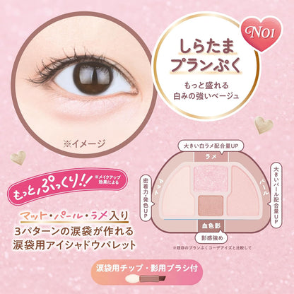 CANMAKE Plumpuku Coordinate Eyes N01