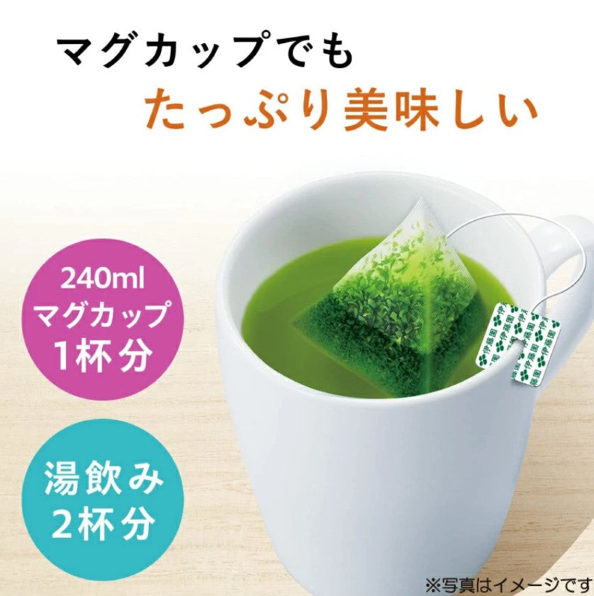 Oi Ocha Premium Tea Bag (20 filtrantes)