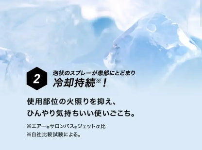 HISAMITSU Air Salonpas DX 120mL