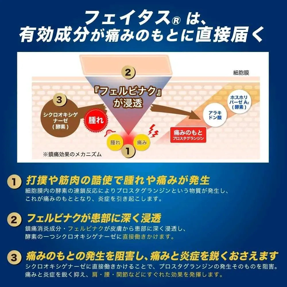 HISAMITSU Feitas 5.0 10cmx14cm (20 parches)