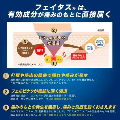 HISAMITSU Feitas 5.0 10cmx14cm (20 parches)