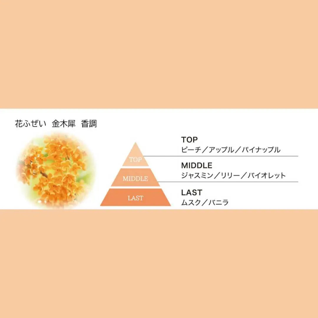 KAMEYAMA Hanafuzei Kinmokusei (Osmanthus) 100g