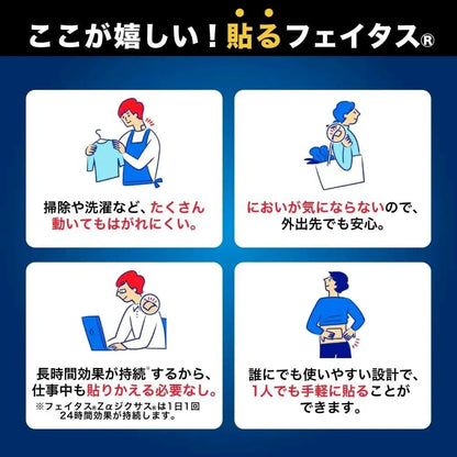 HISAMITSU Feitas 5.0 10cmx14cm (20 parches)