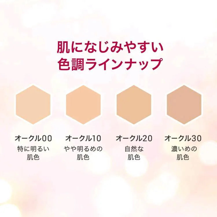 SHISEIDO Pro Finish Foundation (Ocher 10)