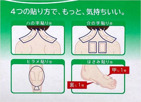 HISAMITSU Salonpas (1 pack de 20 parches)