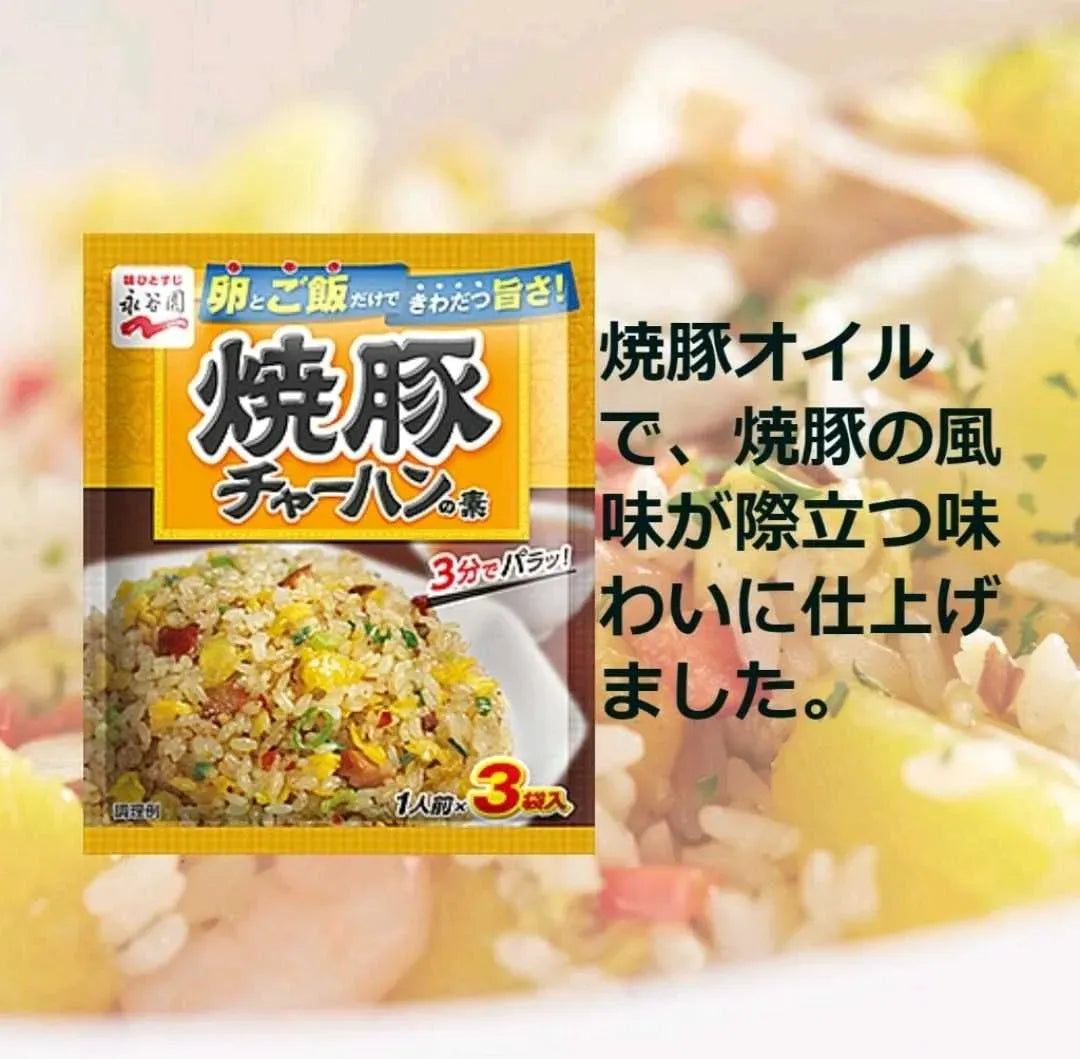 NAGATANIEN Chahan no Moto - Cerdo