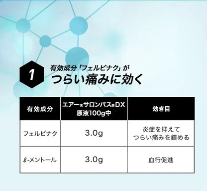 HISAMITSU Air Salonpas DX 120mL