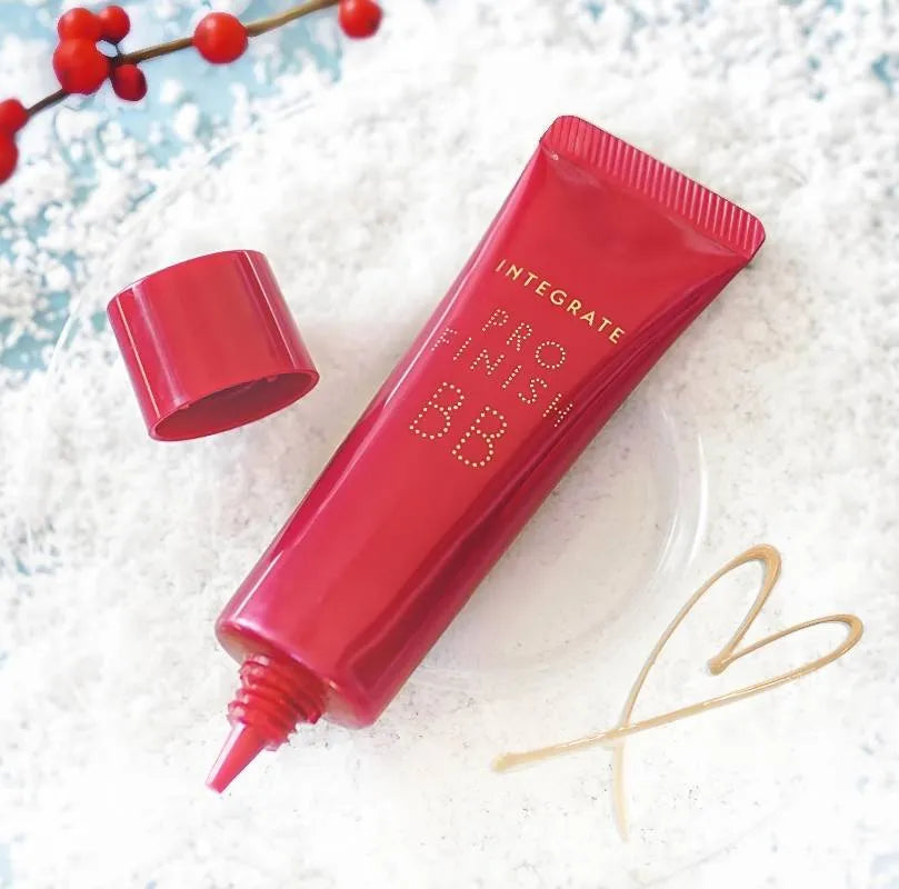 SHISEIDO Integrate Pro Finish BB 40g