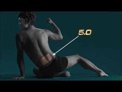 HISAMITSU Feitas 5.0 10cmx14cm (20 parches)