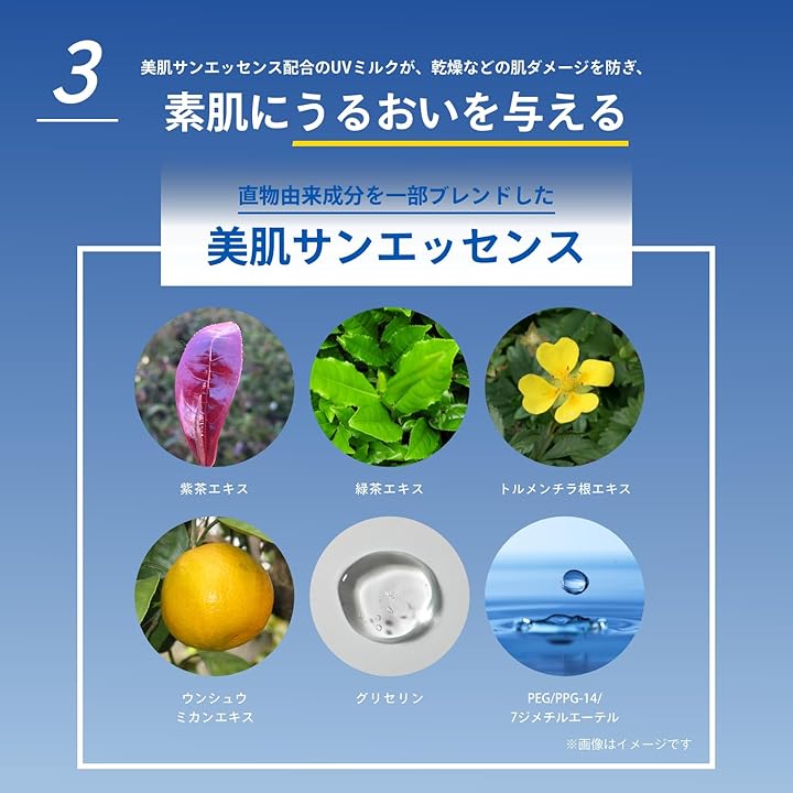 ANESSA Perfect UV Skincare Milk